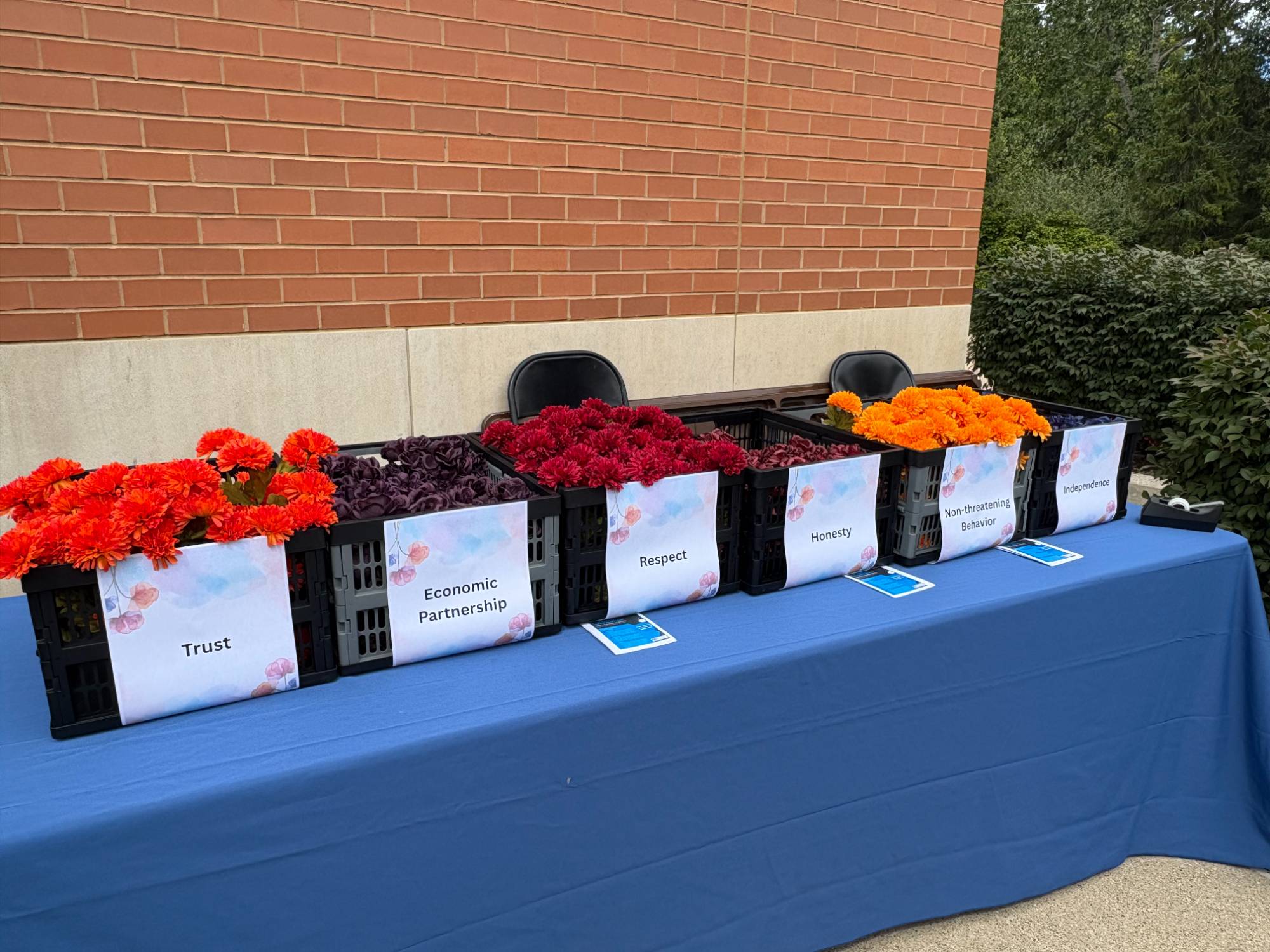 image of black buckets with different colored flowers
